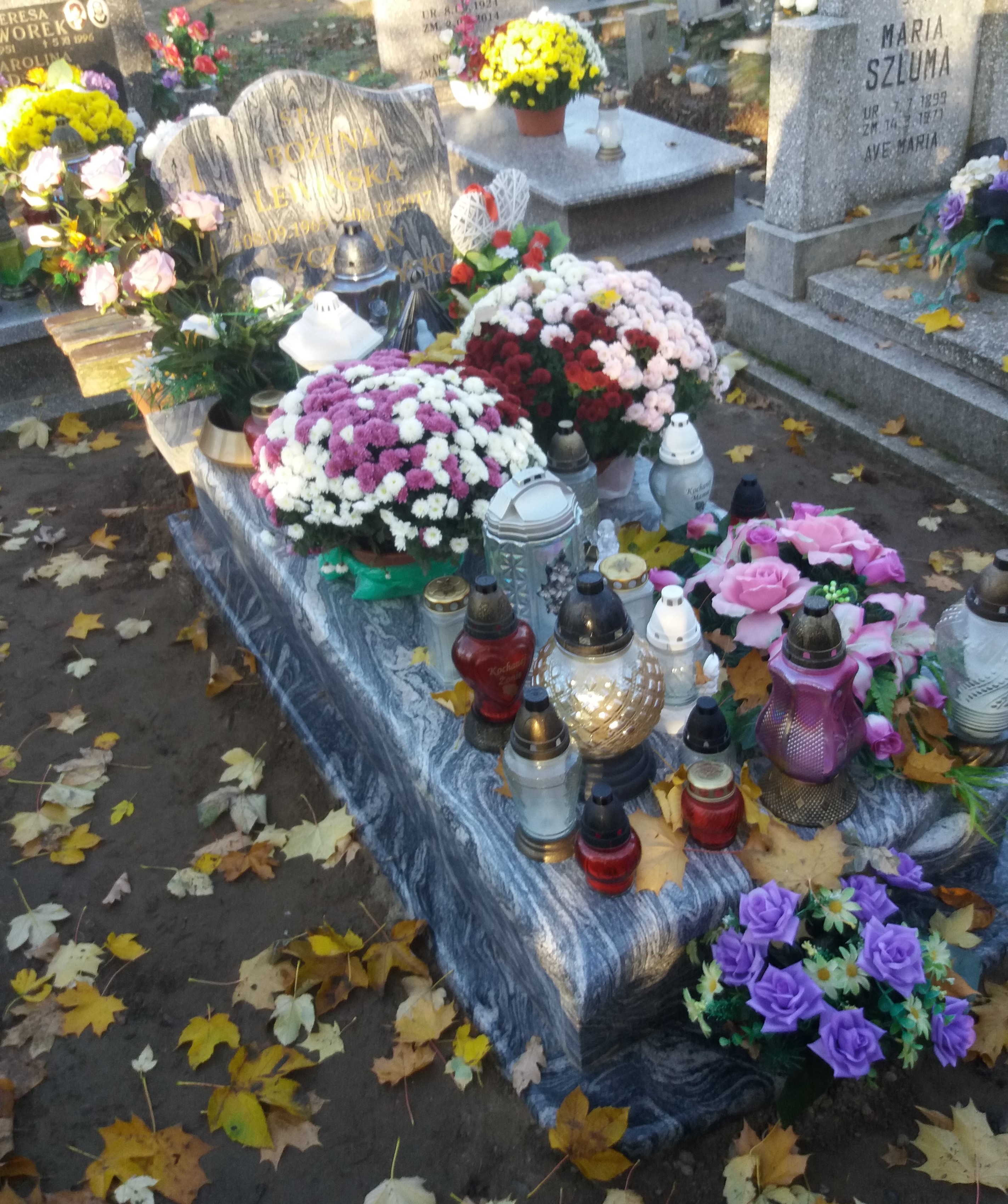 Szczepan Szerszeniewski 1888 Łobez - Grobonet - Wyszukiwarka osób pochowanych