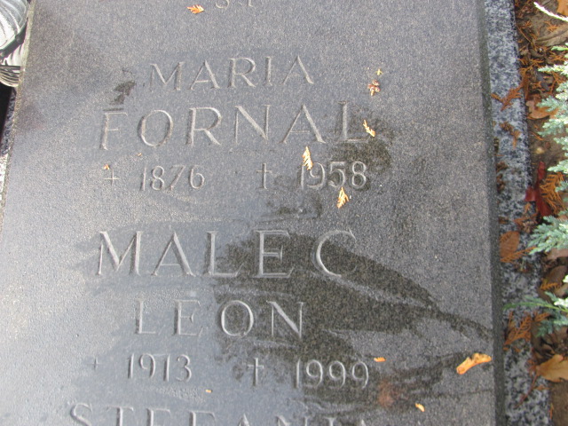 Stefania Malec 1916 Łobez - Grobonet - Wyszukiwarka osób pochowanych