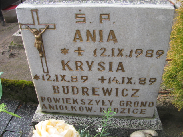 Anna Budrewicz 1989 Łobez - Grobonet - Wyszukiwarka osób pochowanych