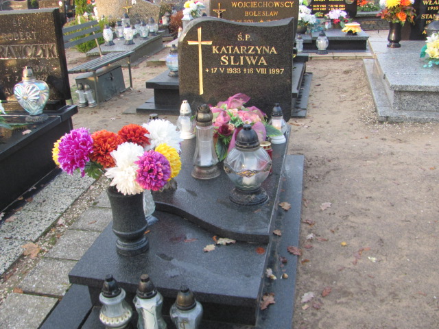 Grób Jan Śliwa